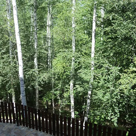 Asara